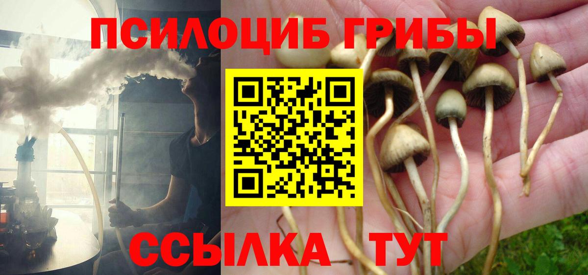 Псилоцибиновые грибы ЛСД Серпухов